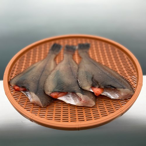추가3이미지