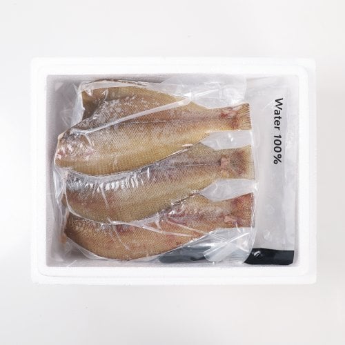 추가6이미지