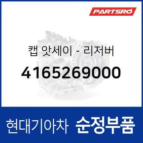 순정 리저버 캡(탱크통 뚜껑) (4165269000)  11톤 트럭 현대모비스 부품몰