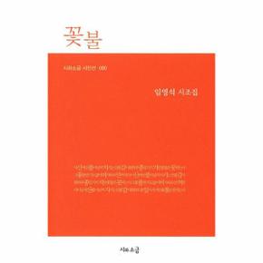 꽃불-080(시와소금 시인선)