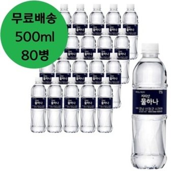  화인바이오 지리산물하나 생수 500ml x 80병 물 0.5리터