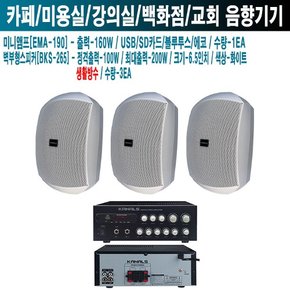 피부과 카날스 앰프 스피커 EMA-190 BKS-265 W-2