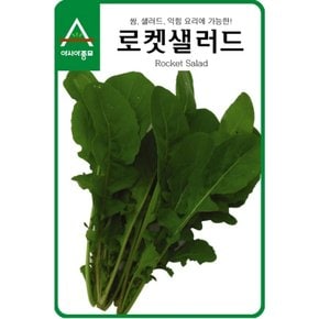 루콜라루꼴라씨앗종자 로켓샐러드(1Kg)