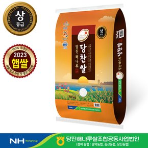 [출고당일도정] 2023년햅쌀 당진해나루 당찬쌀  상등급 쌀20kg