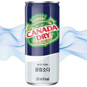 캐나다 클럽소다 250ml 60캔