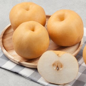 시원달콤한 햇  나주 배 7.5kg 선물세트