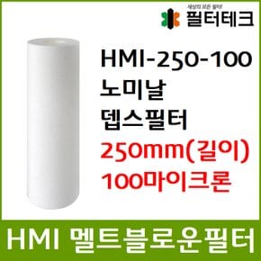 산업용필터 HMI 멜트블로운 뎁스 필터 250mm 100um