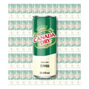 캐나다드라이 진저에일, 250ml, 60개