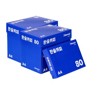 A4용지 80g 2박스 5000매 에이포 복사용지 SGM1