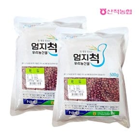 [명절 후 배송] [산척농협] 엄지척잡곡 적두500gx2팩(1kg)