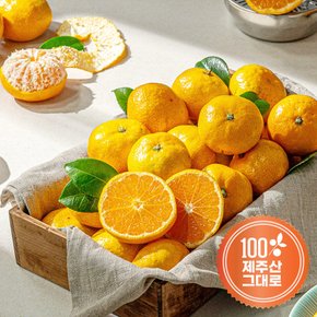 [무료배송]제주하우스 제주 비가림 하우스귤 1.1kg (10-12과) 실속세트