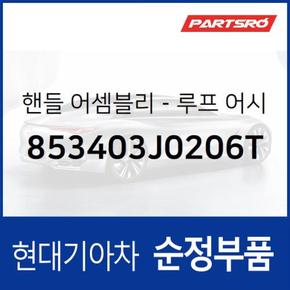 실내 천장 손잡이 (루프 어시스트 핸들) 뒷좌석,운전석쪽 (853403J0206T)  베라크루즈 현대모비스 부품몰