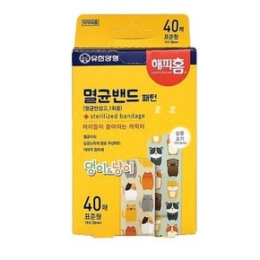 해피홈 멸균대일밴드 멸균밴드 캐릭터밴드 팬턴 표준형 40매 -H멸균반창고캐릭터밴드어린이밴드대일밴드저