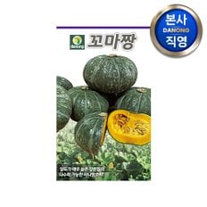 다농 꼬마짱 미니 단호박 씨앗 5립 , 야채 채소 텃밭 파종 재배 주말 농장 씨 종자,