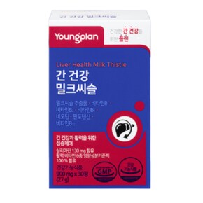 간 건강 밀크씨슬 900mg x 30정 x 2개