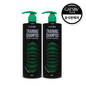 헤어 앤 스칼프 트레이닝 샴푸 500ml 2개