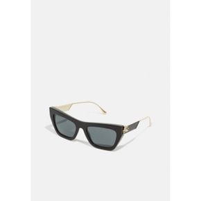 4574268 ETRO Sunglasses - black