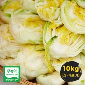 [품질보장]해남절임배추 김장 절인배추 김치주문 10kg(3~4포기) 예약판매