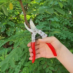 고내구성 고강도 원예가위 과수원 전지가위 (레드) 고급