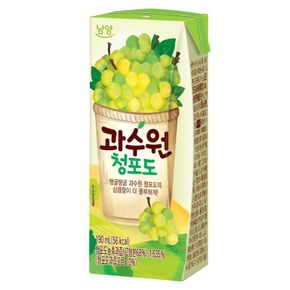 과수원 청포도 190ml x 24개[36016334]