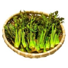  국내산 참 두릅 500g