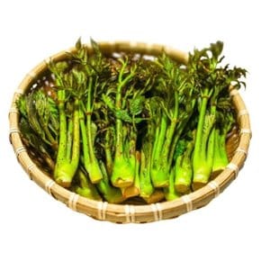 국내산 참 두릅 500g