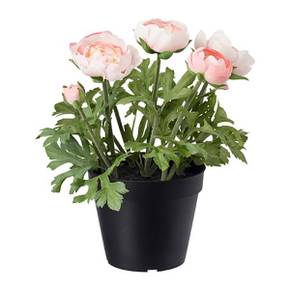 FEJKA 인조식물 라눙쿨루스 핑크 12cm