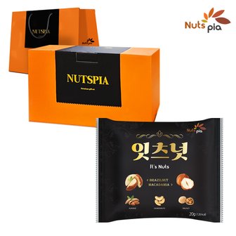  [넛츠피아] 잇츠넛 100봉 고급 선물세트 매일 하루 한줌견과