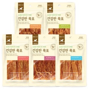 건강한 육포 닭가슴살 100g 5종 강아지간식 1kg