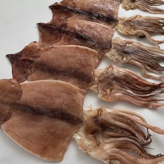  동해안 햇 반건조오징어 10마리(왕특대) 2kg 건오징어