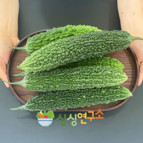 [새벽수확 특품] 경남거창 햇 여주 1kg 생여주