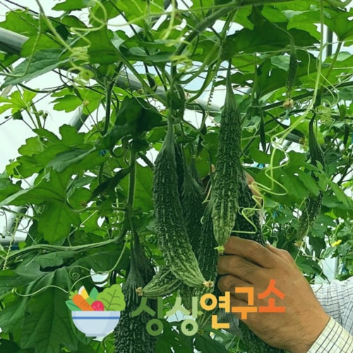 상품이미지4