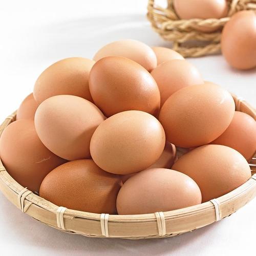 이맛난 생계란 대란 30구 HACCP 무살충제(1)