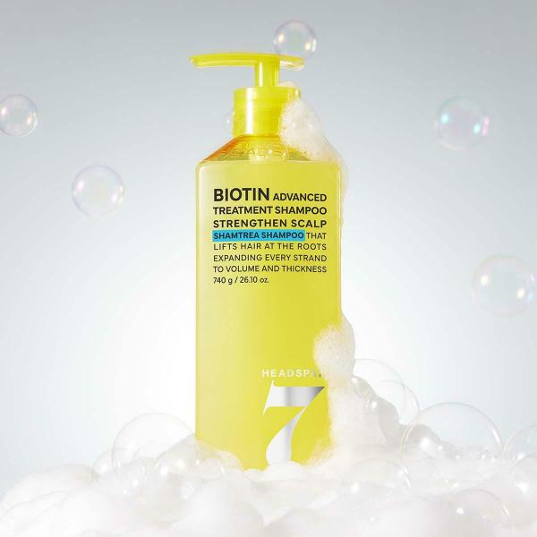 비오틴+프로틴 트리트먼트 샴푸 740g 2개