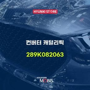 컨버터 캐털리틱 (289K082063)