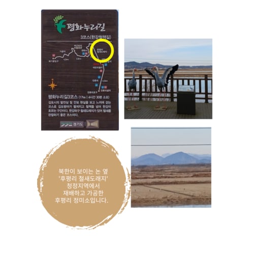 상품이미지5