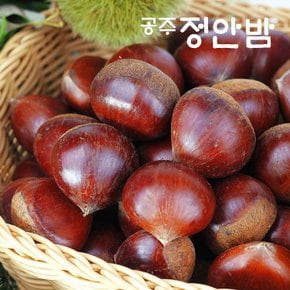 24년 햇 무농약 공주 정안밤 알밤 특품 2kg 왕밤 농가직송