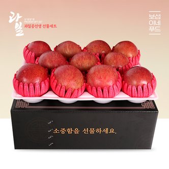 보섭이네푸드 과일공선생 명품 사과선물세트 3kg(11과 내외)