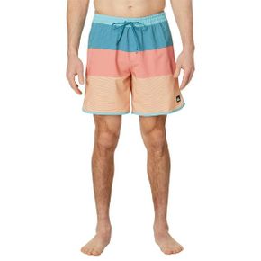 4699000 Quiksilver 17 Surfsilk Tijuana Volley Shorts