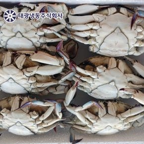 냉동 알배기 암꽃게 1.2kg (6마리 내외) 봄어획