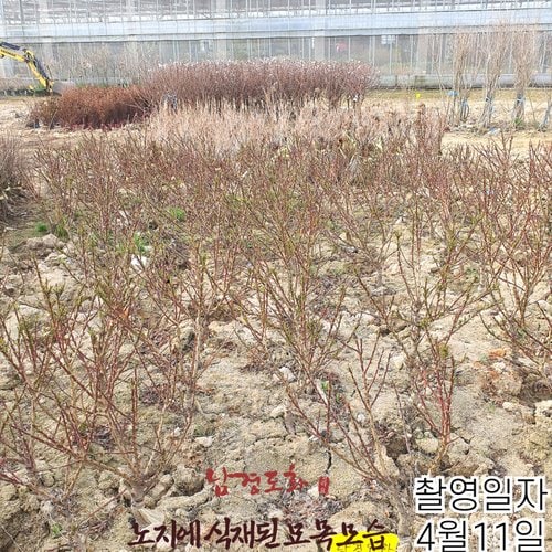 추가이미지