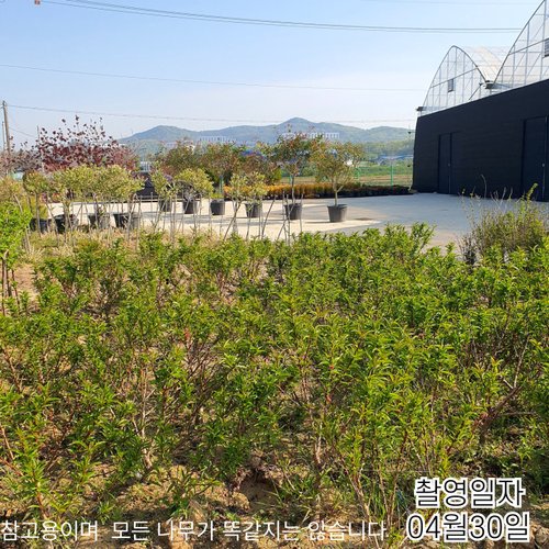 추가이미지