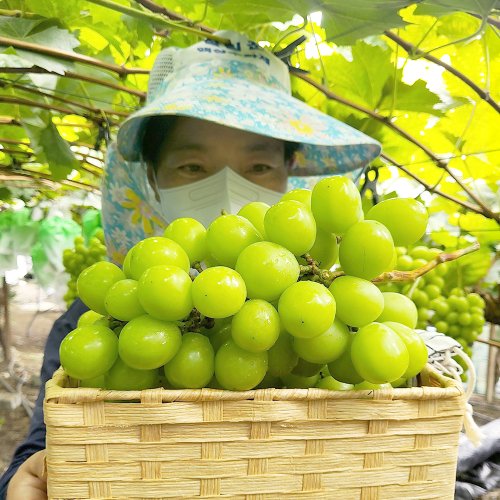 상품이미지4