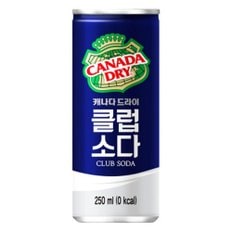 캐나다드라이 클럽소다 250ml 30캔