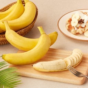 필리핀산 바나나 1kg