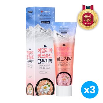 엘지생활건강 죽염 히말라야핑크솔트 치약 아이스민트 화이트라벨 100g x 3개