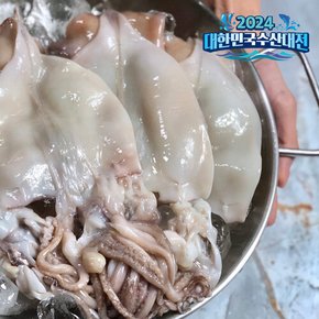 [더조은] 국내산 손질오징어 800g (4-7미)