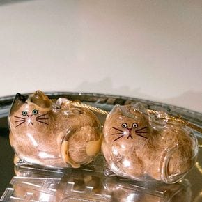 고양이 털 보관 키링 반려묘 애완묘 털 캡슐보관 키링