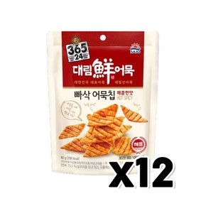 대림선 빠삭어묵칩 매콤한맛 술안주간식 40g x 12개