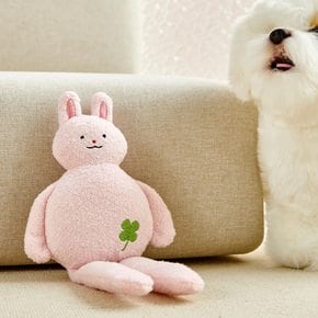 펫본 동물 친구들 부클 롱 토이 래빗 삑삑,바스락